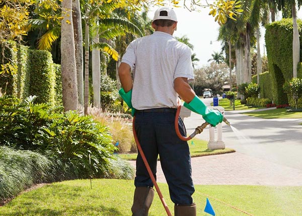 About Mount Sterling MO Pest Control